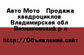 Авто Мото - Продажа квадроциклов. Владимирская обл.,Вязниковский р-н